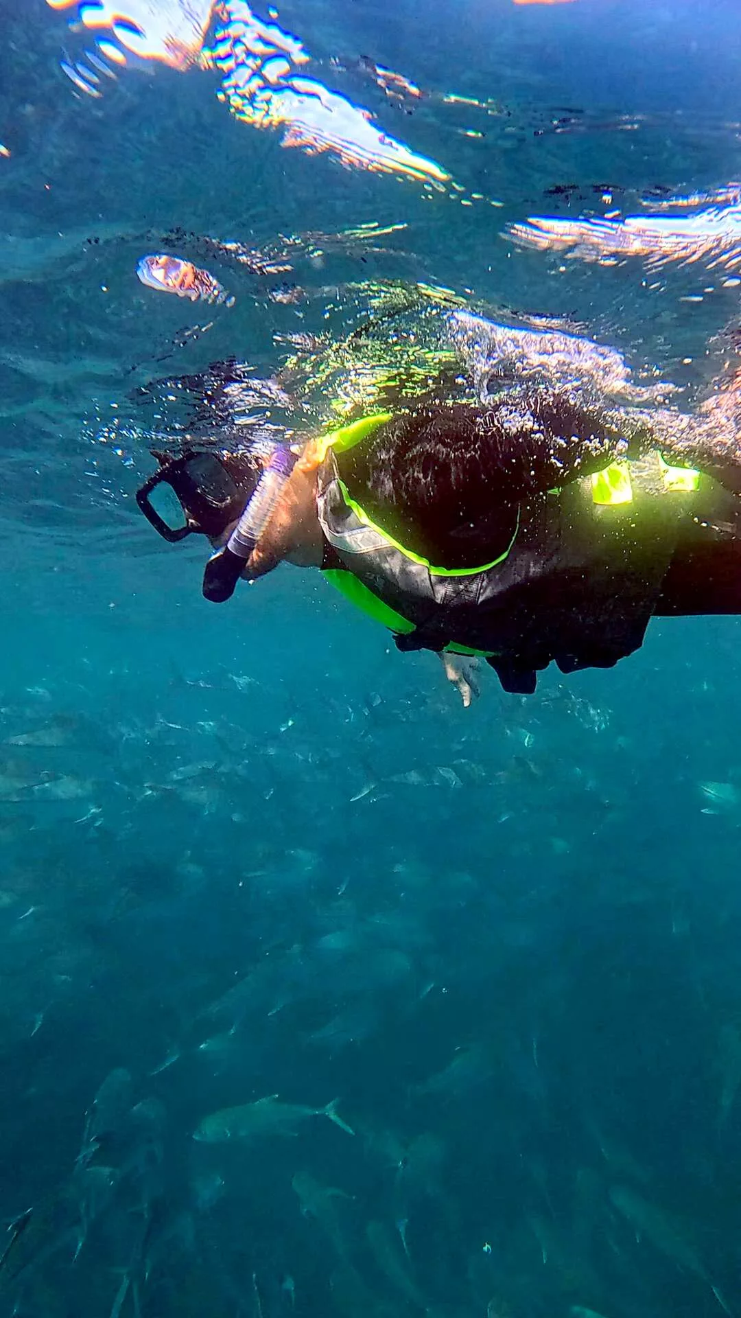 Snorkeling au parc national de Cabo Pulmo