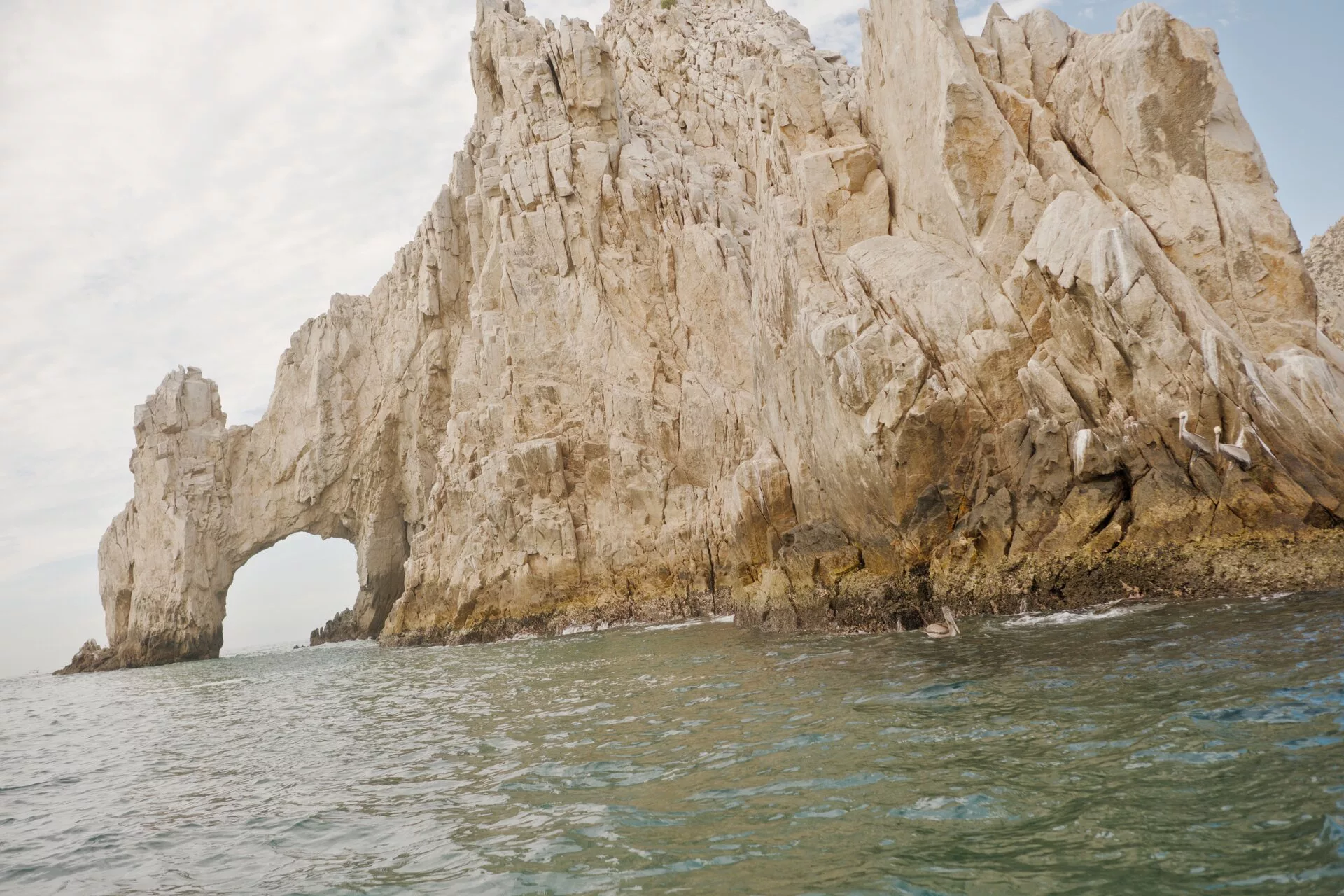 Arche de Cabo San Lucas