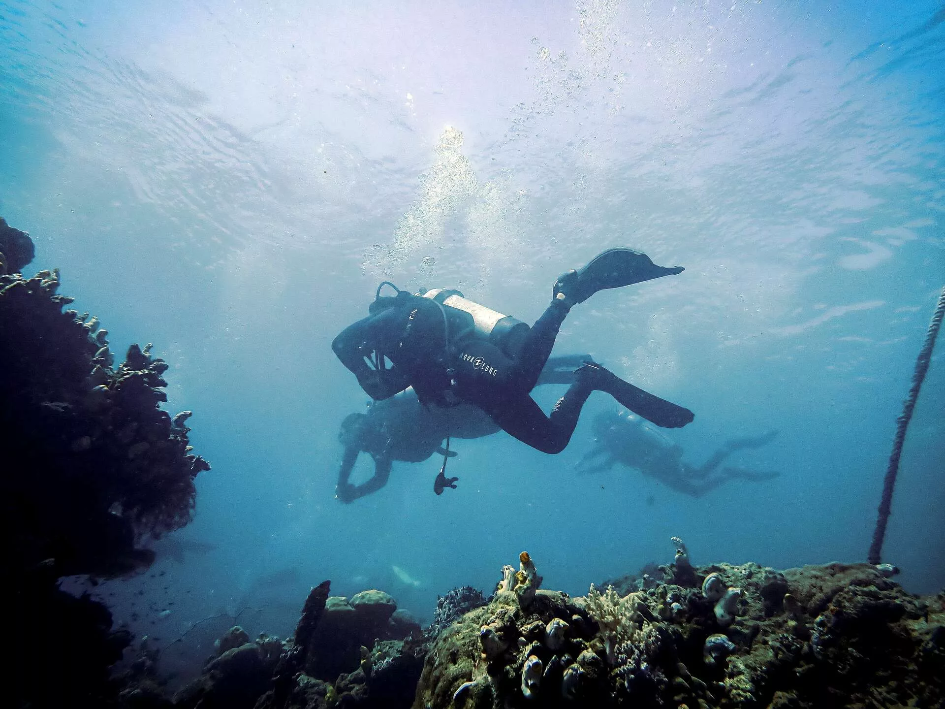 Plongée au parc national de Cabo Pulmo